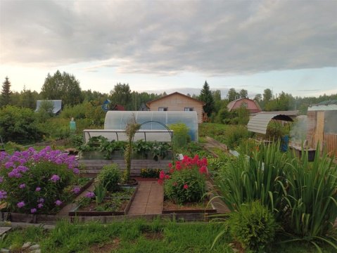 Дом 50м², участок 10 сот.
