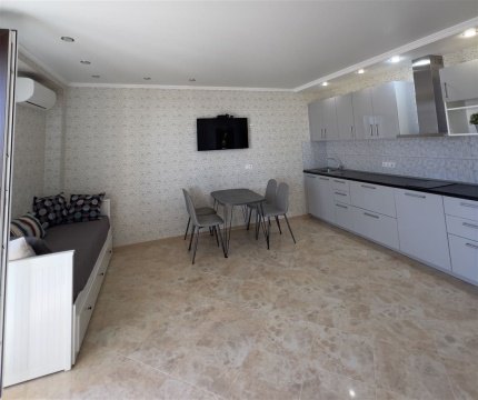 Студия, 6/9 эт., 47м²