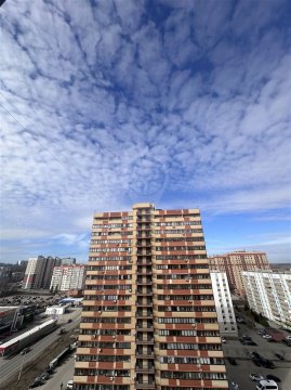 Студия, 14/16 эт., 21м²