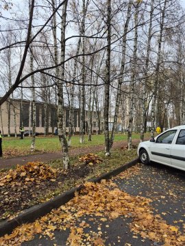 3-к квартира, 1/5 эт., 57м²