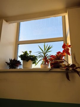 1-к квартира, 4/5 эт., 12м²