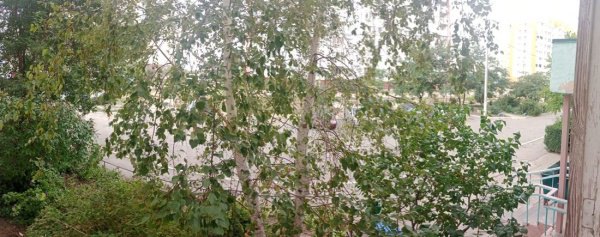 3-к квартира, 1/9 эт., 69м²