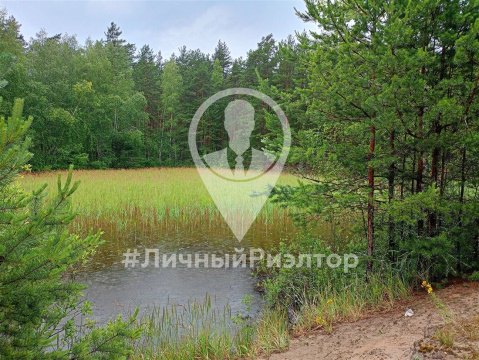 Дом 84м², участок 15 сот.