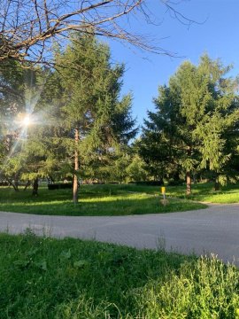 3-к квартира, 17/17 эт., 72м²
