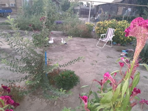 Дом 90м², участок 20 сот.