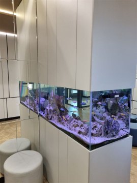 Студия, 14/16 эт., 30м²