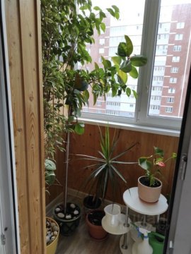 2-к квартира, 5/10 эт., 64м²
