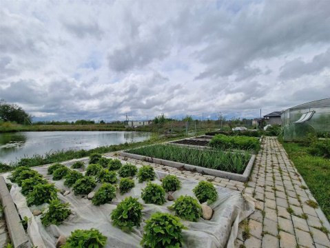 Дом 200м², участок 67 сот.