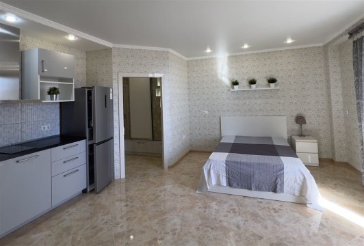 Студия, 6/9 эт., 47м²