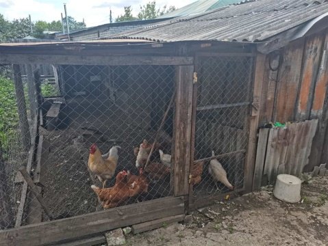 Дом 115м², участок 9 сот.