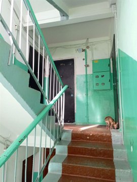 3-к квартира, 3/5 эт., 60м²