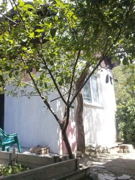 Дом 32м², участок 1 сот.