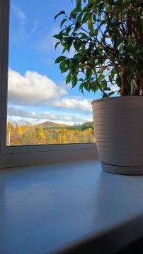 2-к квартира, 3/5 эт., 52м²