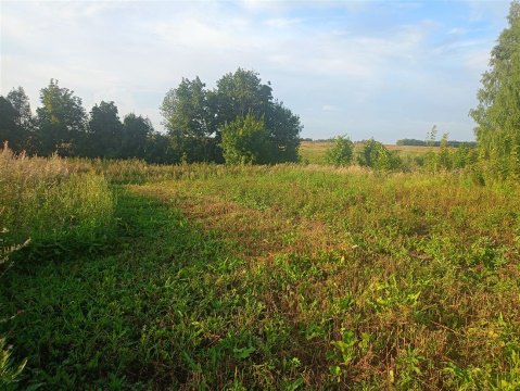 Дом 50м², участок 17 сот.