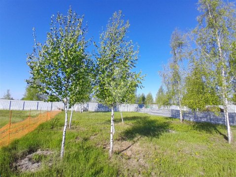 Дом 100м², участок 11 сот.