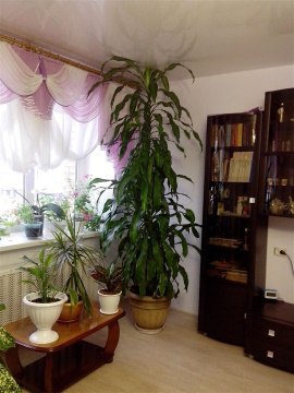 2-к квартира, 4/5 эт., 69м²