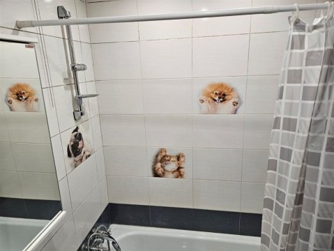 Студия, 3/5 эт., 24м²